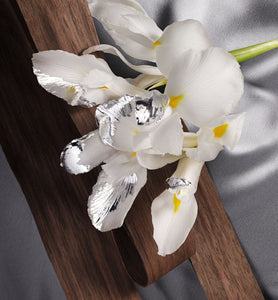 Dior-BOIS D'ARGENT-Unisex Eau de Parfum - Ambery and Floral Notes