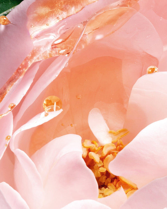 DIORIVIERA-Eau de Parfum - Fig and Rose Notes
