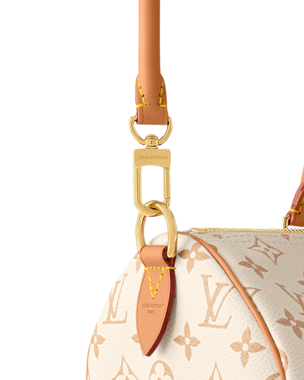 Louis Vuitton Speedy Soft 30 Lucky