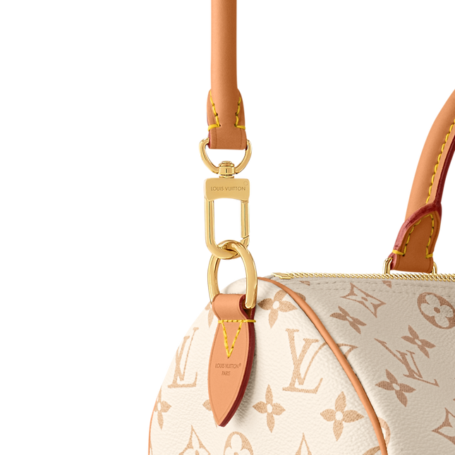 Louis Vuitton Speedy Soft 30 Lucky