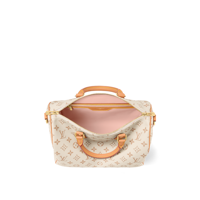 Louis Vuitton Speedy Soft 30 Lucky