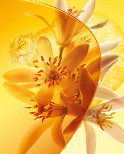 Louis Vuitton Sun Song